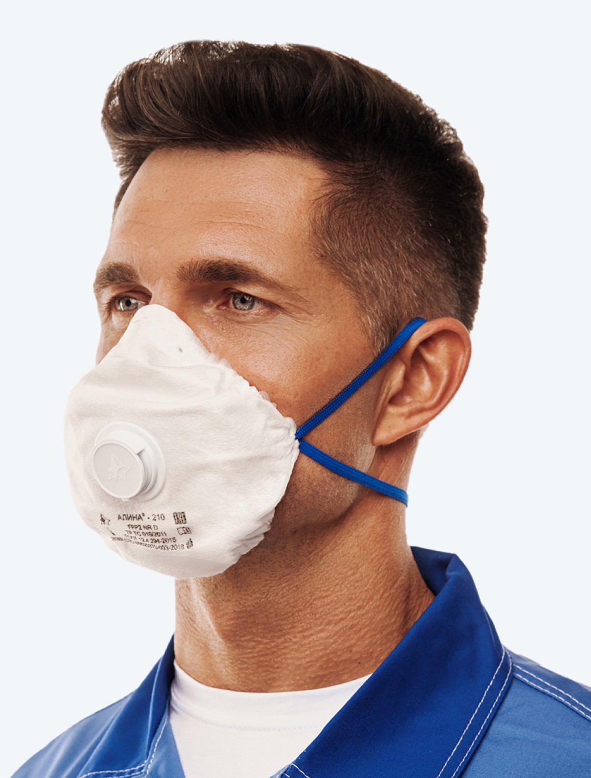 шаблон для каталога сайта