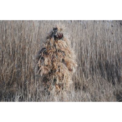 Костюм маскировочный Хищник 3D